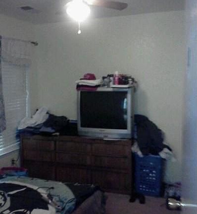 4th image of 3035 Janessa Way