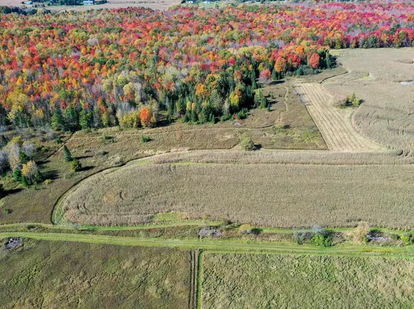 +/-39.03 acres MAPLE ROAD, Rib Lake, WI 54470
