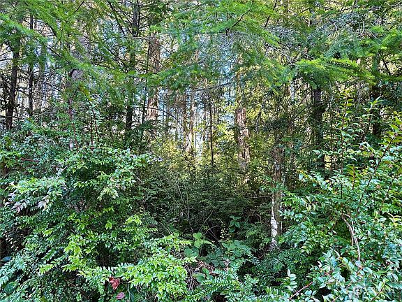 3rd image of 8911 126th Avenue Ct