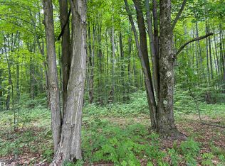 330 Thomas Rd SW, South Boardman, MI 49680