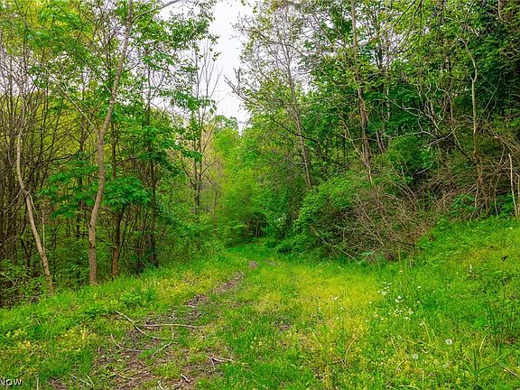 4th image of 60936 Patch Rd