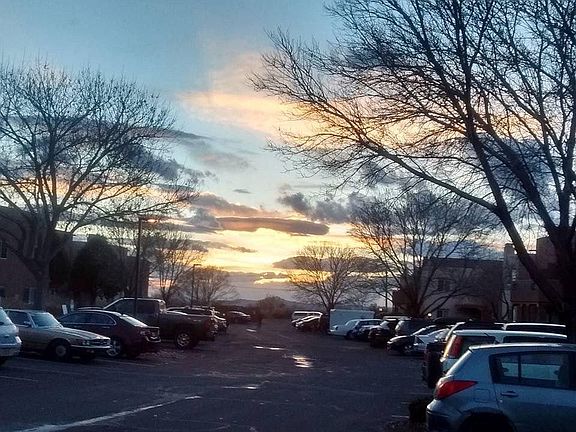 View from balcony and living room