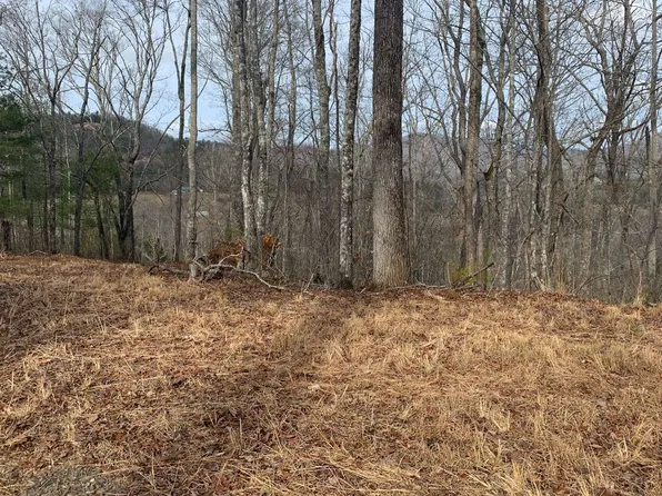 Highland Hls, Hiawassee, GA 30546