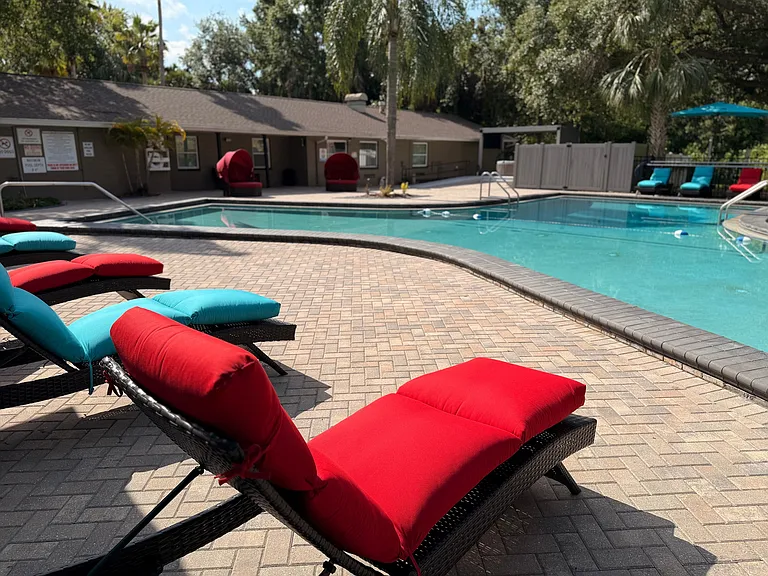 Pool Loungers