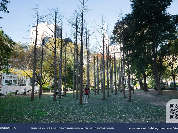 160 West 24th Street image 38 of 46