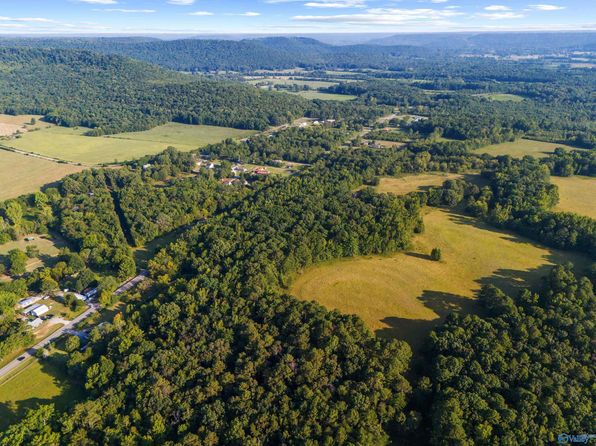 555 Cotaco Florette Rd, Somerville, AL 35670
