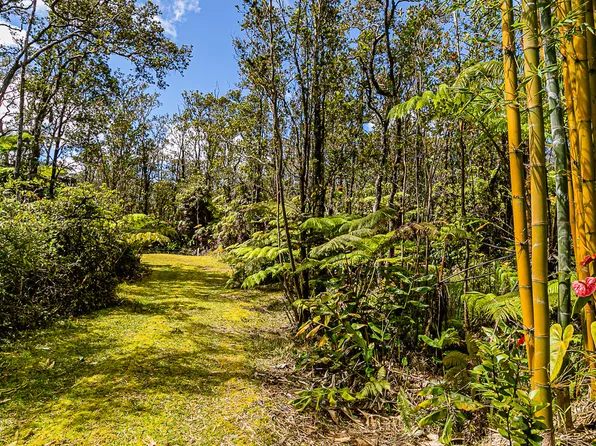 11-3174 Lehuapele Rd Lot 8673, Volcano, HI 96785