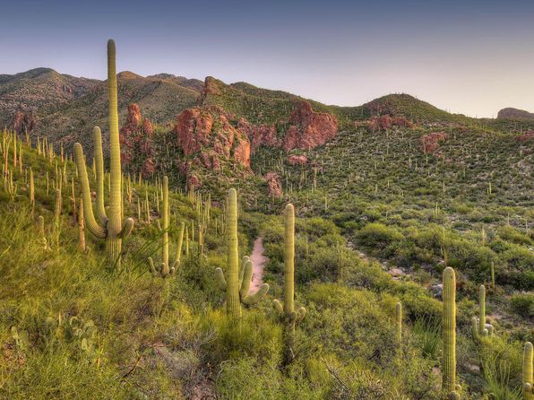 Santa Catalina Mountain Views Tucson Real Estate 6 Homes For Sale Zillow