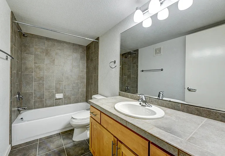 2850 E. College Avenue #304 Bathroom