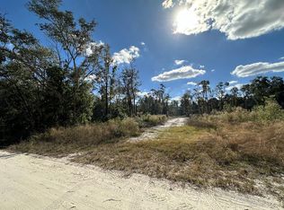 293 NE 682nd Ave, Old Town, FL 32680