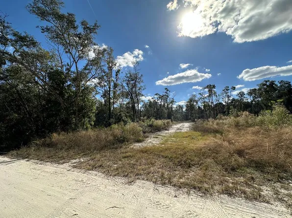 293 NE 682nd Ave, Old Town, FL 32680