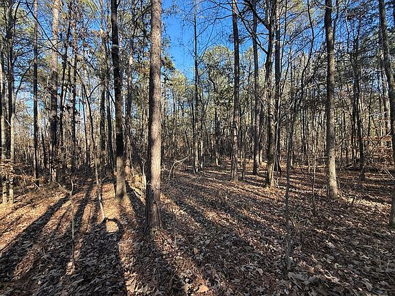 2nd image of 0 Acres Rd N