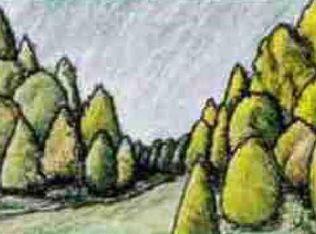 342 SW Elderberry Dr, Port Saint Lucie, FL 34953