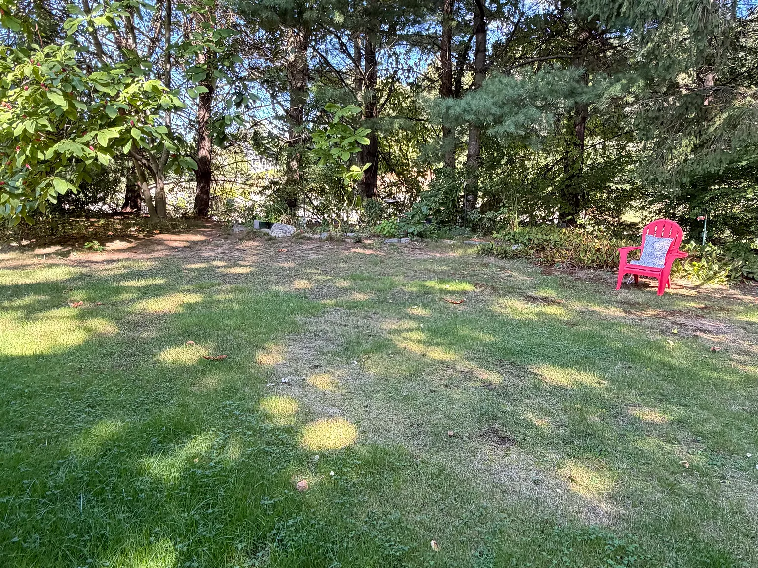 1 bed, 650 sqft, $1,750 — Photo 2