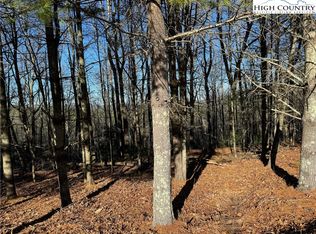 LOT 29 Woodland Shores Dr, Jefferson, NC 28640