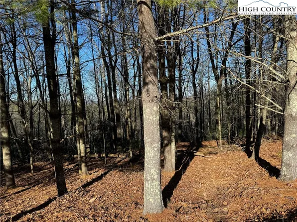 Lot 29 Woodland Shores Drive, Jefferson, NC 28640
