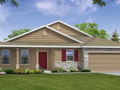 9967 Dolphin Gull Cir, Thonotosassa, FL, 33592