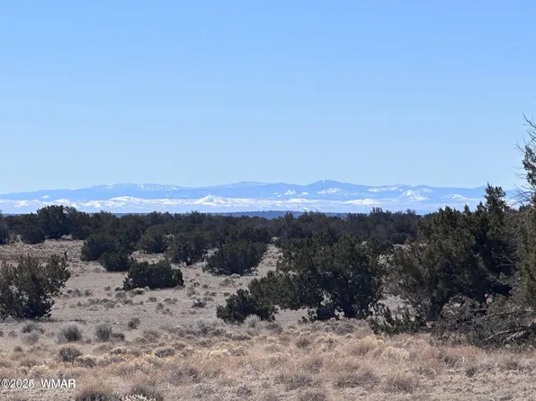 004P N 7204th, Saint Johns, AZ 85936