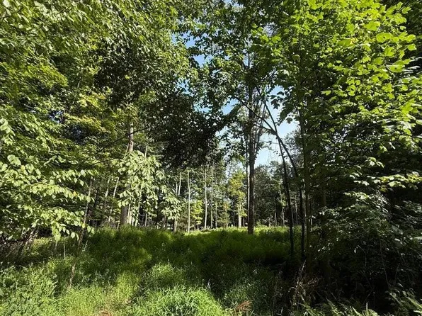 Ledge Dr, Clarks Summit, PA 18411