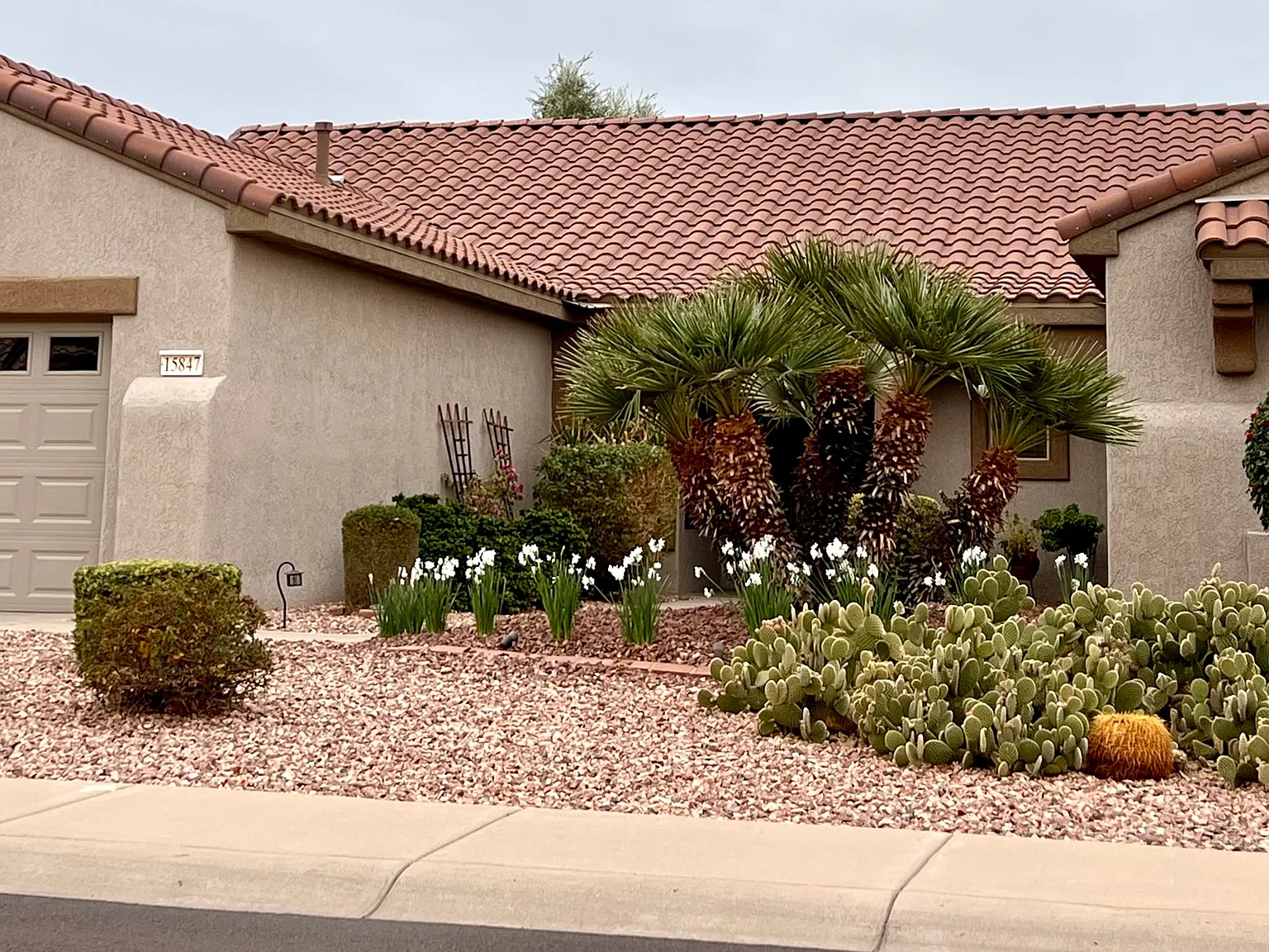 15847 W Bridgewood Dr — Photo 2