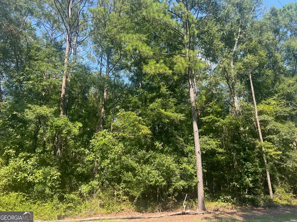 203 Pebble Cove Rd, Abbeville, AL 36310