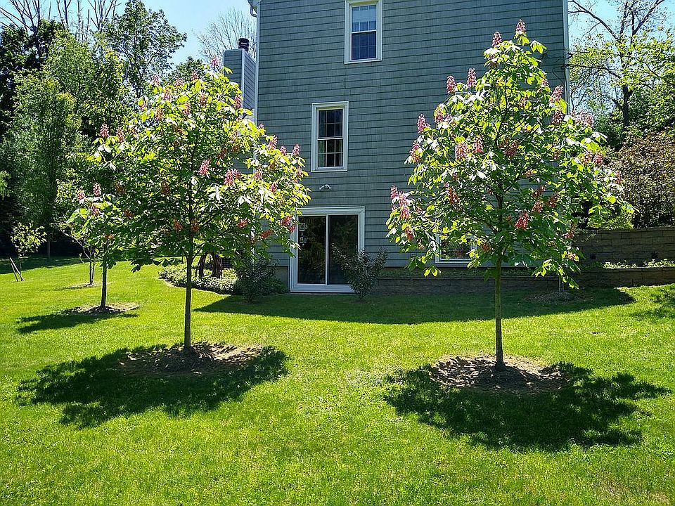 2nd image of 736 Davis Rd