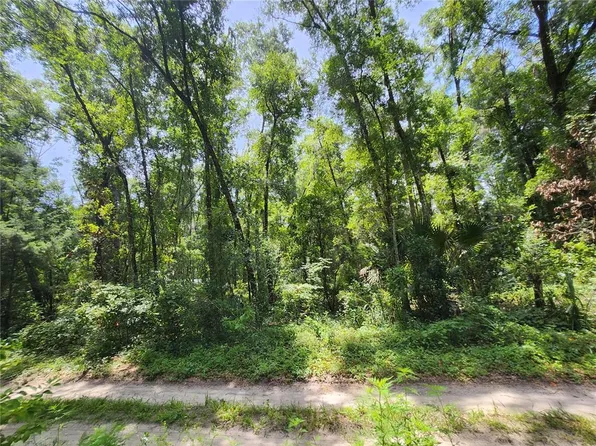 3200 NE 167th St Lot 42, Citra, FL 32113