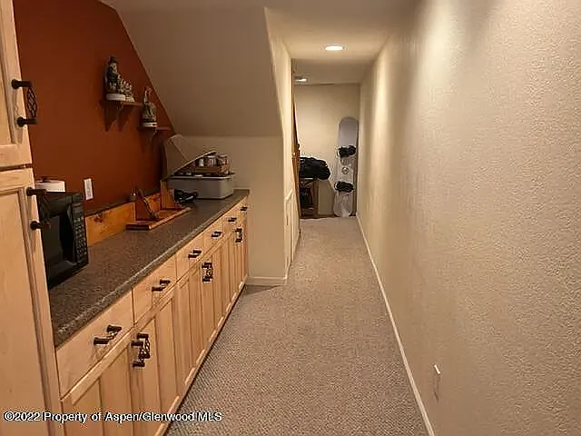 910 Mount Sopris Dr — Photo 8