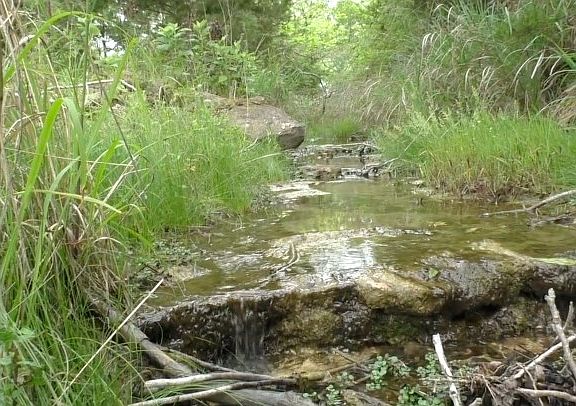 5th image of 1251 Doebbler Rd