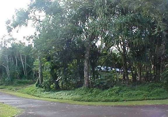 3rd image of Maiii St Lot 1779