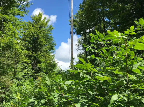 0 Blanchards Rd, Kawartha Lakes, ON K0M 2B0