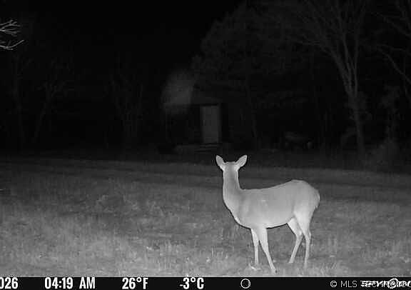 5th image of 793 NW 187th Rd