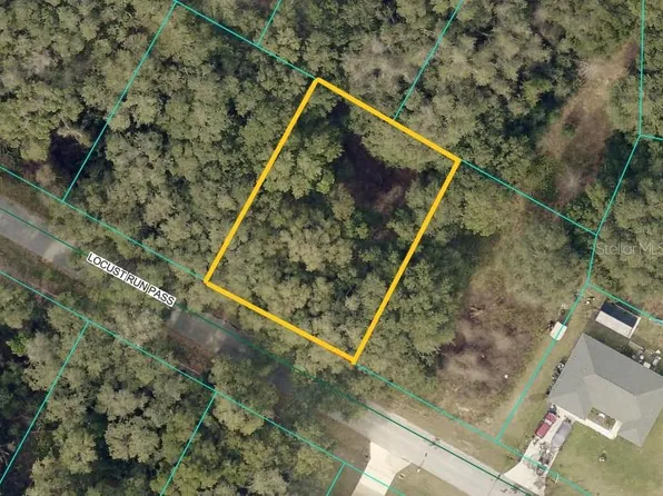 Locust Run Pass Lot 10, Ocala, FL 34472