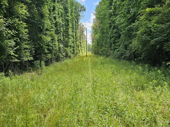 Brown Rd, Starkville, MS 39759