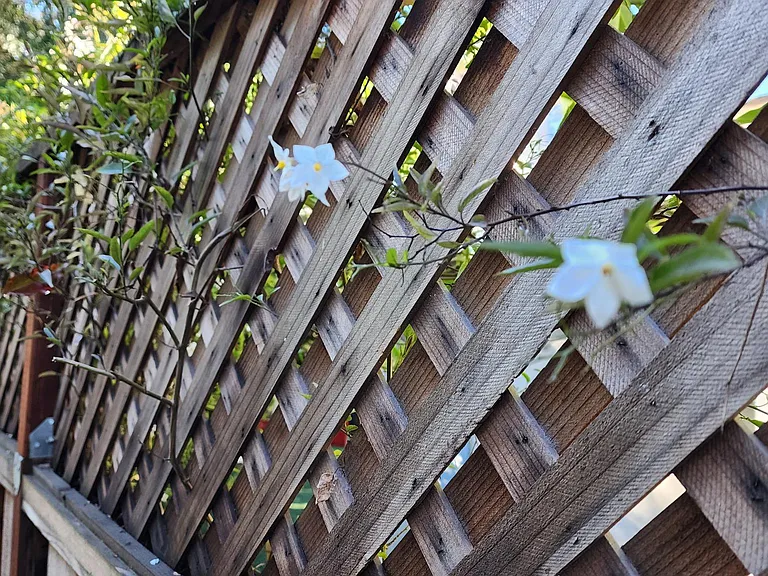 Channing Ave — Photo 19