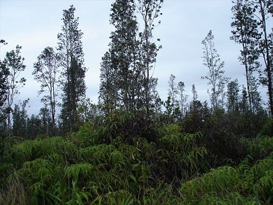 2nd image of Road 9 Koloa Maoli Lot 5506