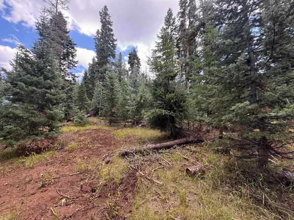 975 W Twisted Trl, Duck Creek Village, UT 84762