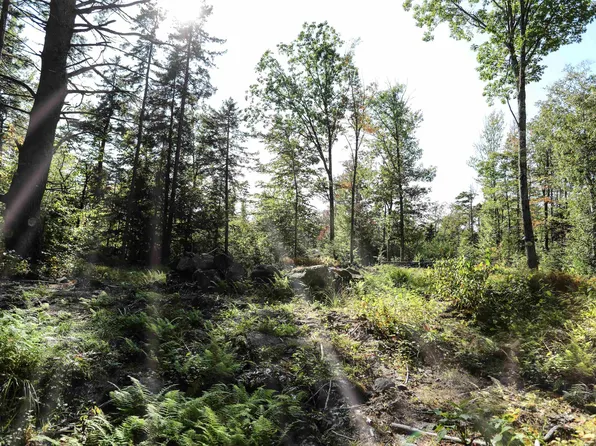 0 Rogers Road, Alstead, NH 03602