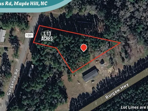 1.13 Acres Gurganus Road, Maple Hill, NC 28454