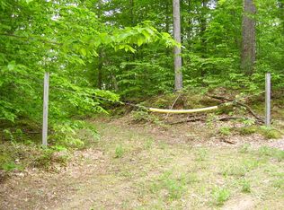 284 E Helmer Lake Rd, Mio, MI 48647