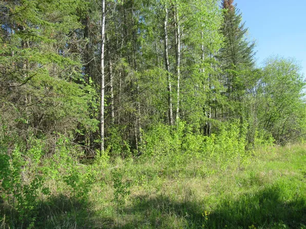 Tbd Cloverdale Rd, Nashwauk, MN 55769