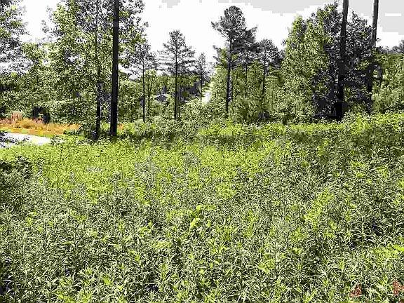 4th image of 23 Tee Box Ln