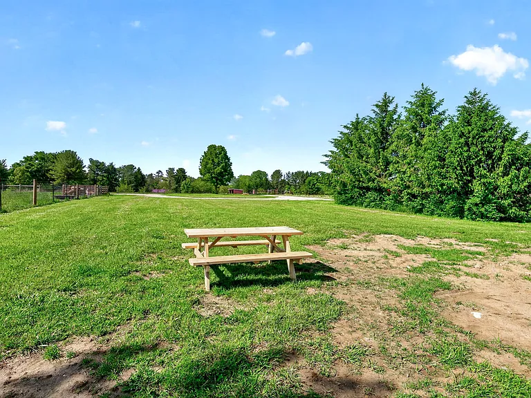 Cornstalk Rd — Photo 38