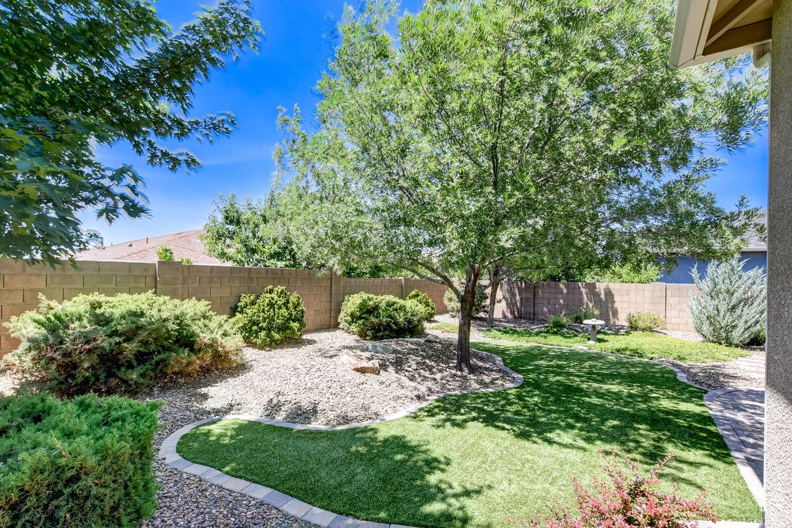 021_Back Yard