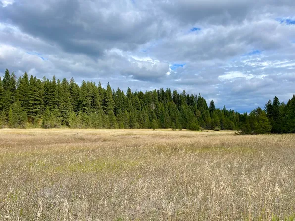 Mickelson Way, Valley, WA 99181