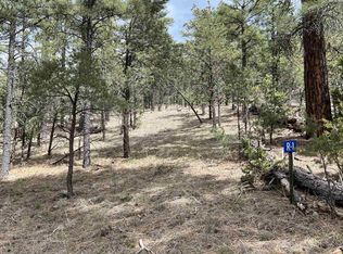 184 El Caso Rd, Quemado, NM 87829