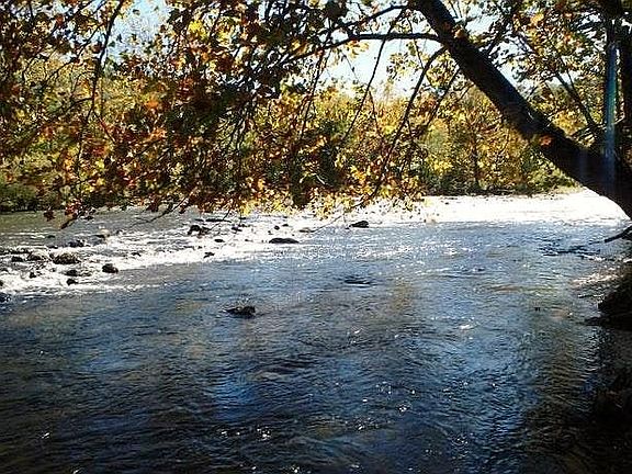 Backyard view of Potomac River