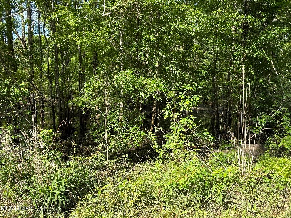 2nd image of Nhn Maple Dr Lot 395