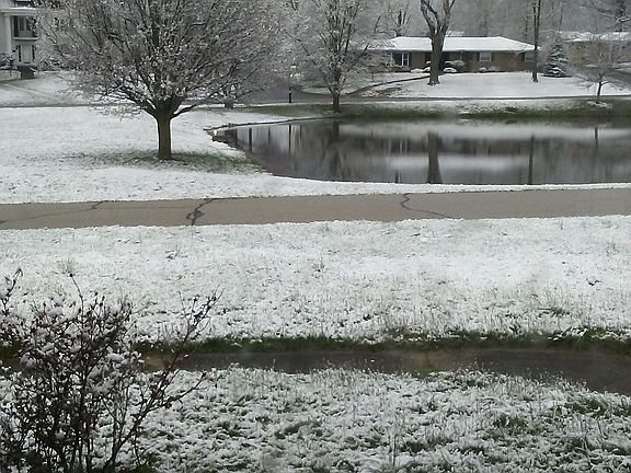 4th image of 30 Rosemont Dr
