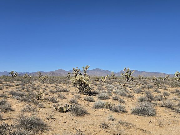 3rd image of 123-30 S Sundance Kid Rd #9
